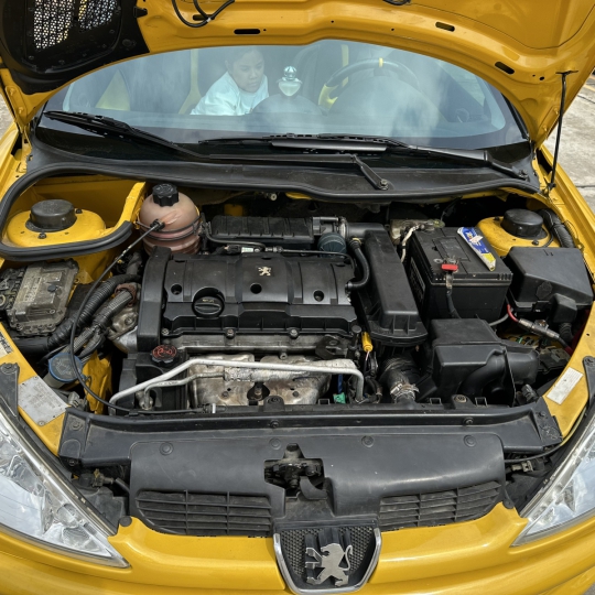 Peugeot mui trần - Pháp